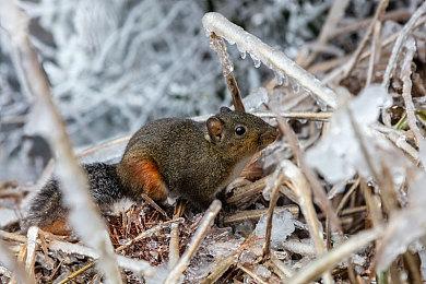 微软表示《微软飞行模拟》已突破1000万玩家